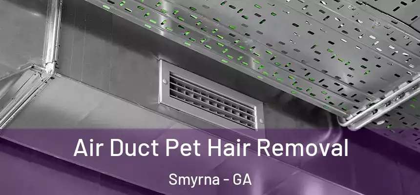  Air Duct Pet Hair Removal Smyrna - GA