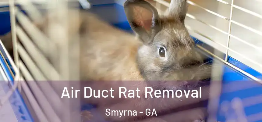  Air Duct Rat Removal Smyrna - GA