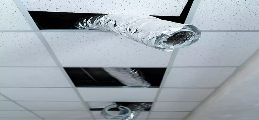 Our Air Duct Pet Hair Removal Services in Smyrna, GA