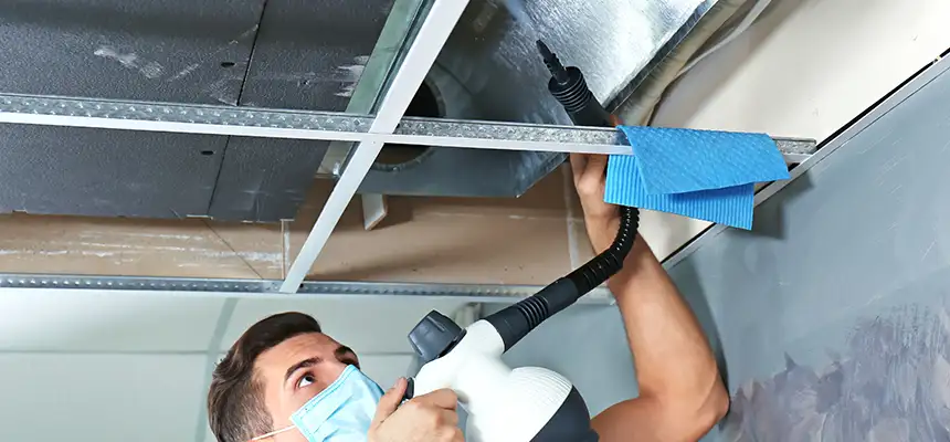 Our Air Duct Rodent Removal Services in Smyrna, GA