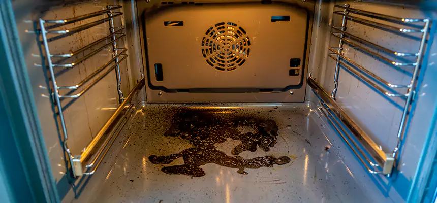 Our Dryer Vent Mold Cleaning Services in Smyrna, GA