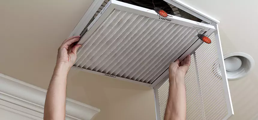 Our Insect Removal from Air Ducts Services in Smyrna, GA