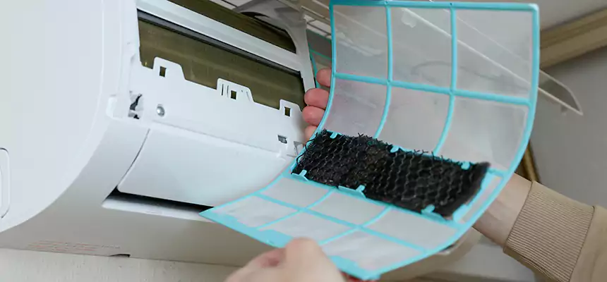 Gentle Ductwork Odor-Control Pet Dander Duct Cleaning in Smyrna, GA