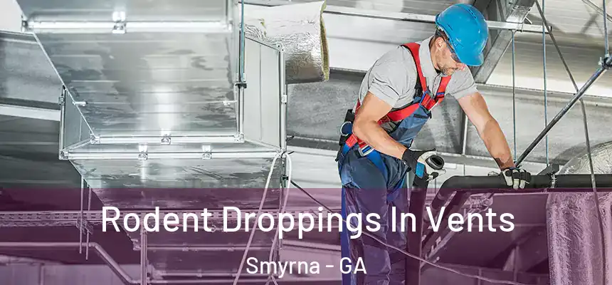  Rodent Droppings In Vents Smyrna - GA