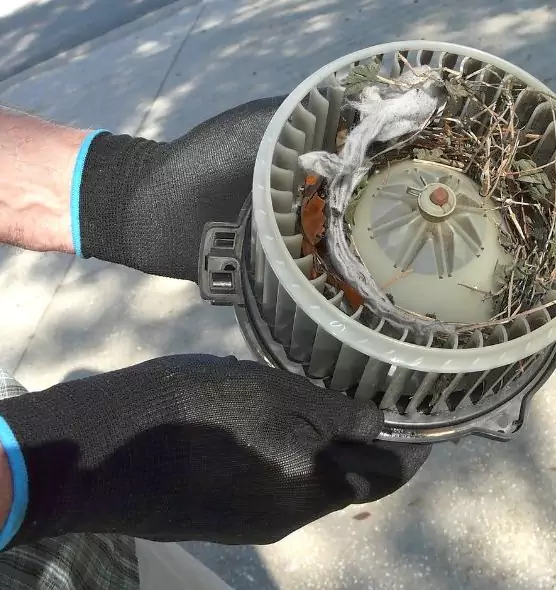 About Air Duct Rat Removal in Smyrna, GA