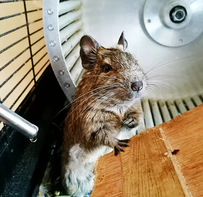 Why Homeowners & Businesses Trust Us Smyrna, GA