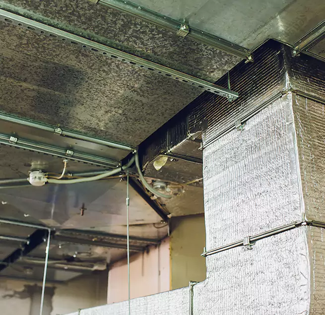 Why Homeowners & Businesses Trust Us in Smyrna, GA?